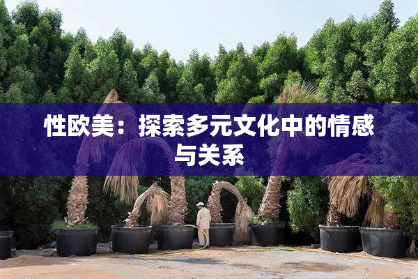 性欧美：探索多元文化中的情感与关系