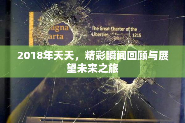 2018年天天，精彩瞬间回顾与展望未来之旅