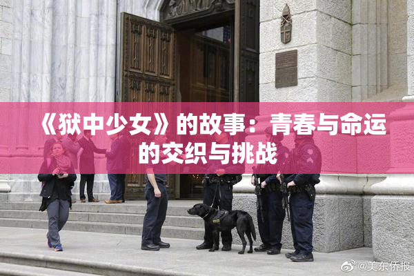 《狱中少女》的故事：青春与命运的交织与挑战