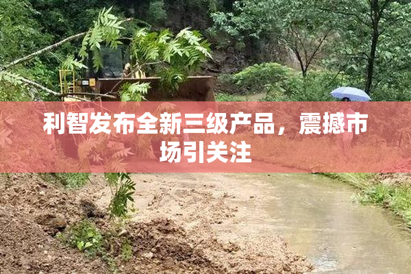 利智发布全新三级产品，震撼市场引关注
