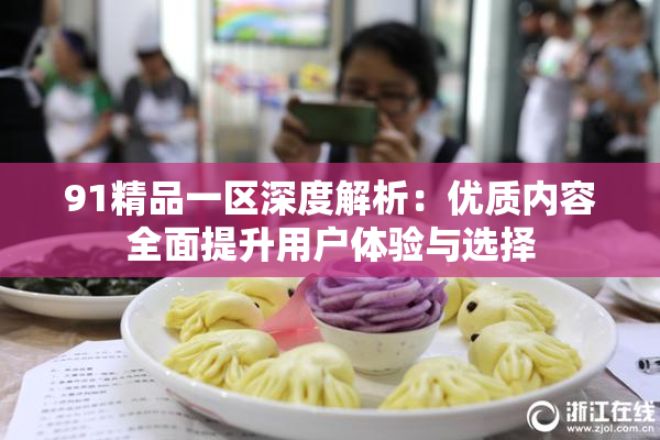 91精品一区深度解析：优质内容全面提升用户体验与选择