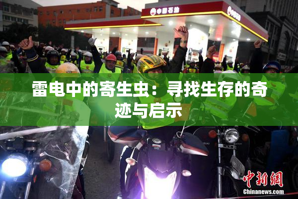 雷电中的寄生虫：寻找生存的奇迹与启示