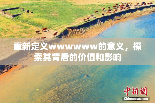 重新定义wwwwww的意义，探索其背后的价值和影响
