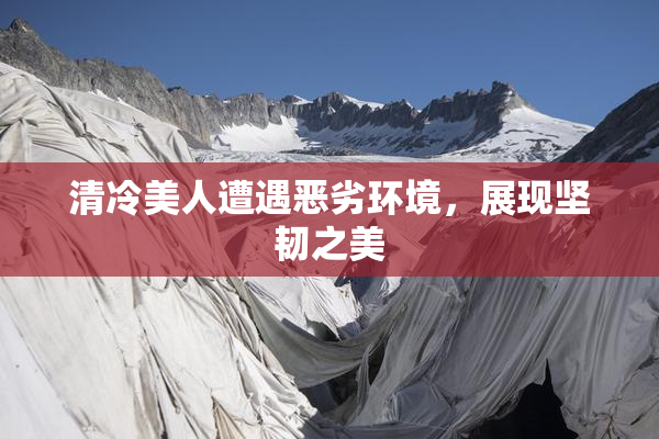 清冷美人遭遇恶劣环境，展现坚韧之美