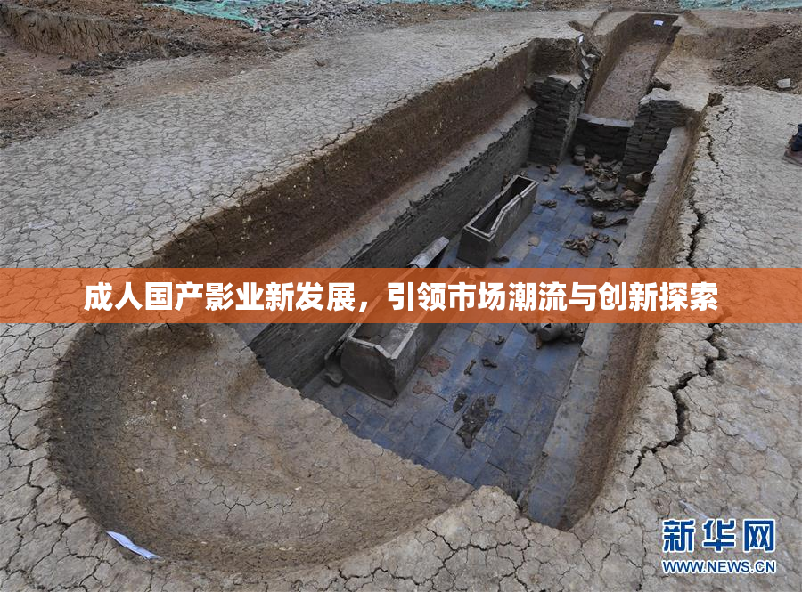 成人国产影业新发展，引领市场潮流与创新探索