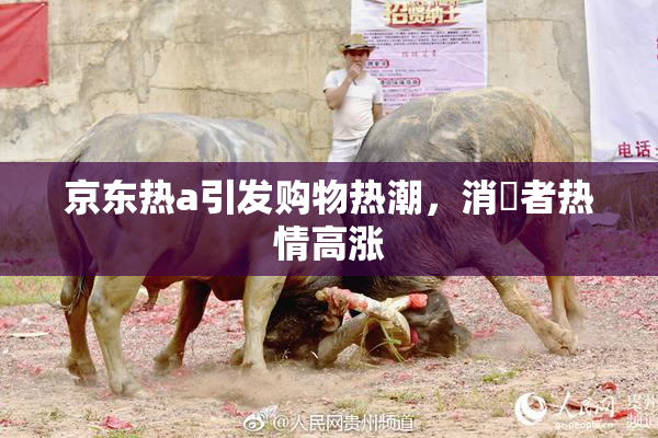 京东热a引发购物热潮，消費者热情高涨