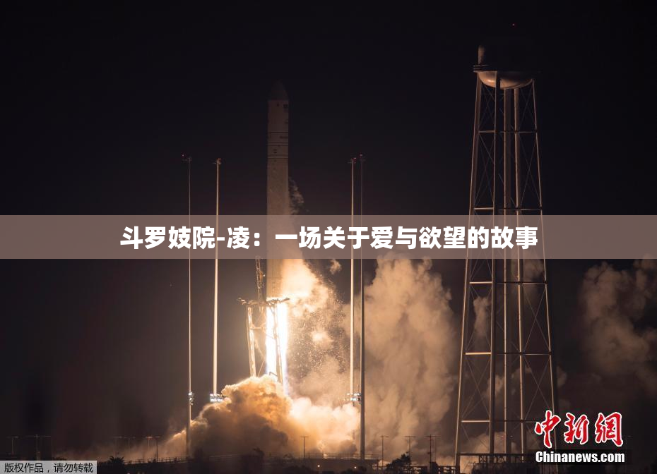 斗罗妓院-凌：一场关于爱与欲望的故事