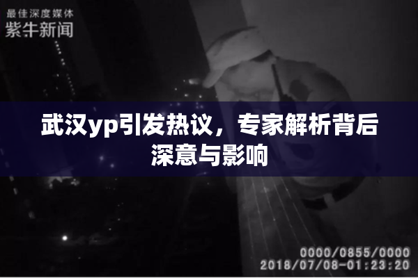 武汉yp引发热议，专家解析背后深意与影响