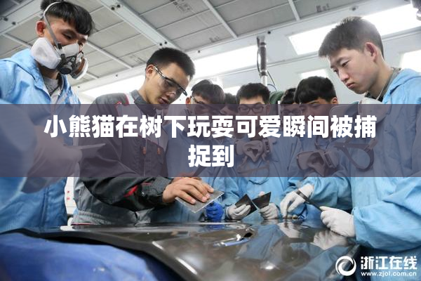 小熊猫在树下玩耍可爱瞬间被捕捉到