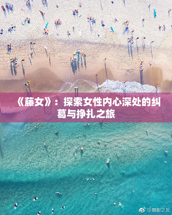 《藤女》：探索女性内心深处的纠葛与挣扎之旅