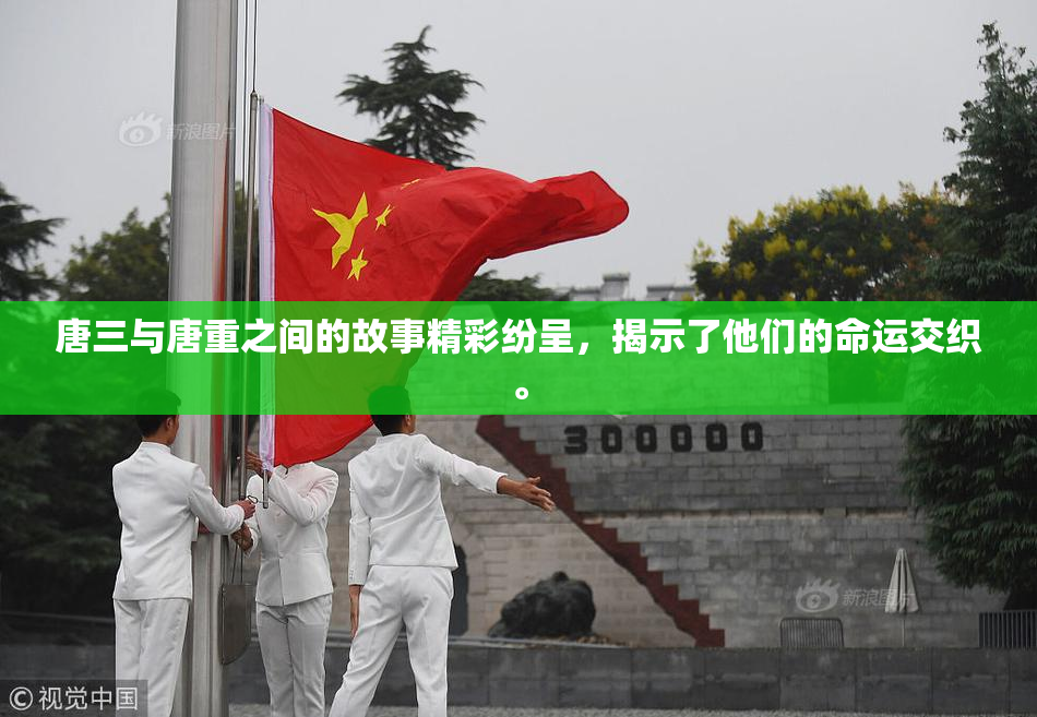 唐三与唐重之间的故事精彩纷呈，揭示了他们的命运交织。