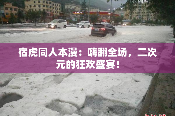 宿虎同人本漫：嗨翻全场，二次元的狂欢盛宴！