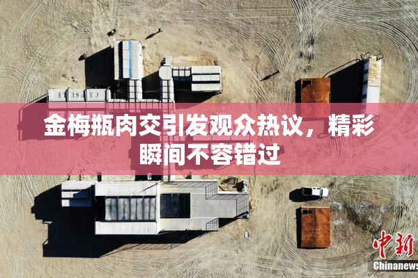 金梅瓶肉交引发观众热议，精彩瞬间不容错过