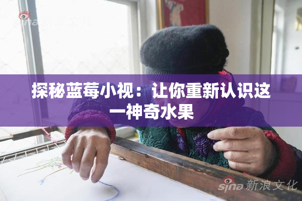 探秘蓝莓小视：让你重新认识这一神奇水果