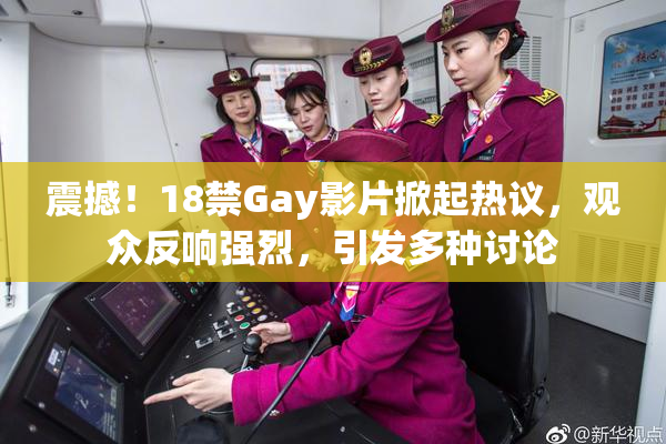 震撼！18禁Gay影片掀起热议，观众反响强烈，引发多种讨论