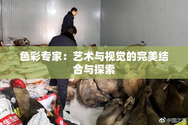 色彩专家：艺术与视觉的完美结合与探索