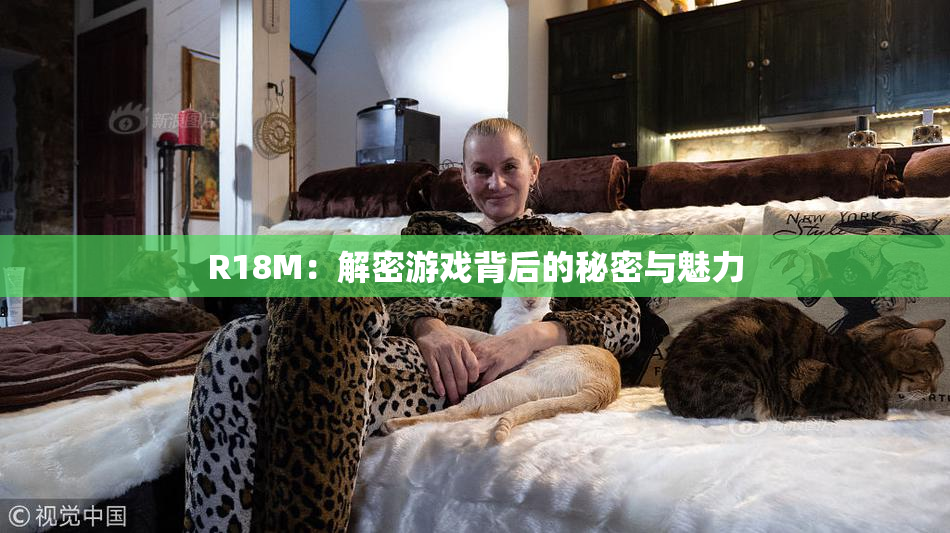 R18M：解密游戏背后的秘密与魅力
