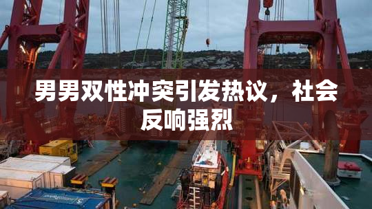 男男双性冲突引发热议，社会反响强烈