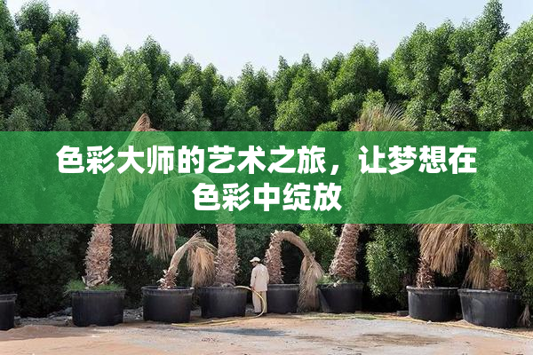 色彩大师的艺术之旅，让梦想在色彩中绽放