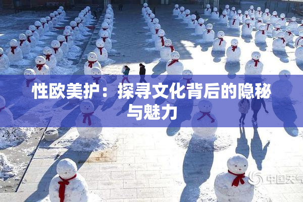 性欧美护：探寻文化背后的隐秘与魅力