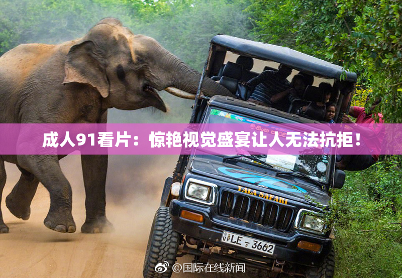 成人91看片：惊艳视觉盛宴让人无法抗拒！