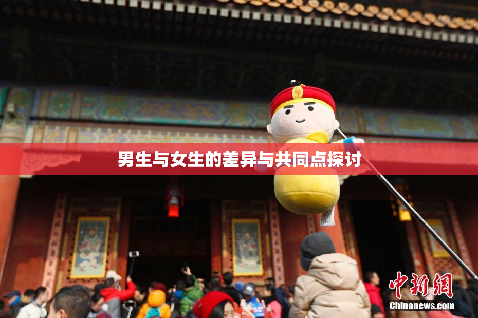 男生与女生的差异与共同点探讨
