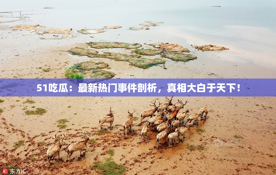 51吃瓜：最新热门事件剖析，真相大白于天下！
