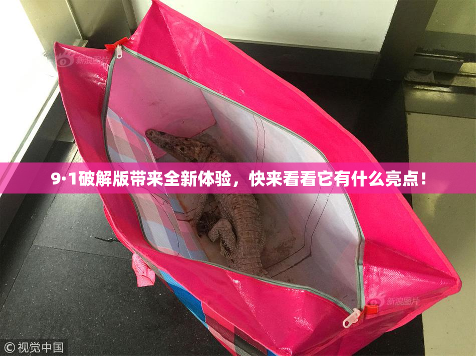 9·1破解版带来全新体验，快来看看它有什么亮点！