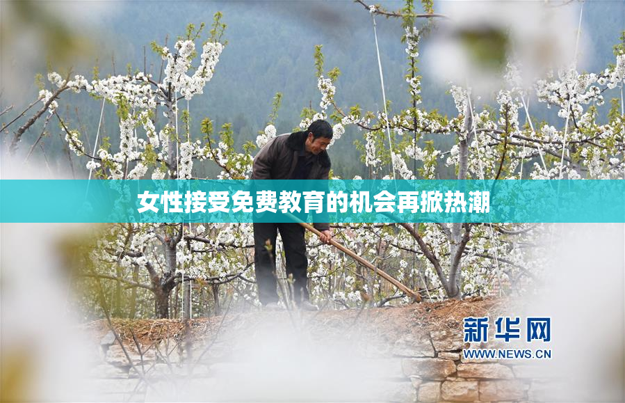 女性接受免费教育的机会再掀热潮