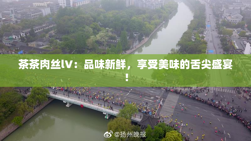 茶茶肉丝lV：品味新鲜，享受美味的舌尖盛宴！