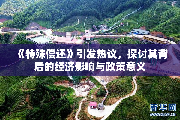 《特殊偿还》引发热议，探讨其背后的经济影响与政策意义