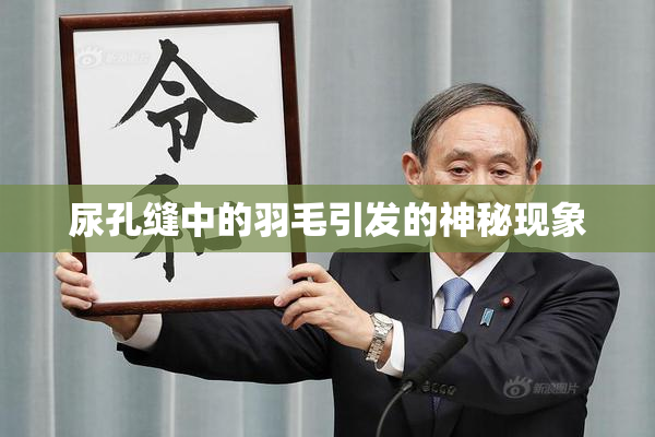 尿孔缝中的羽毛引发的神秘现象