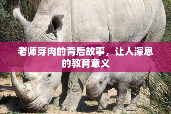 老师穿肉的背后故事，让人深思的教育意义