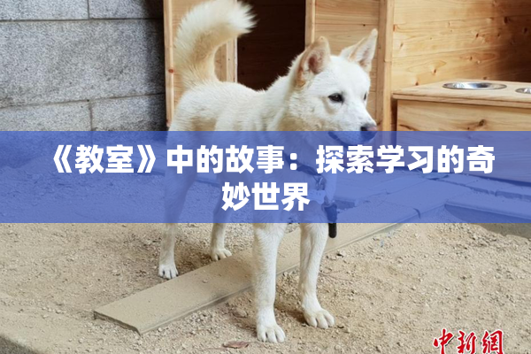 《教室》中的故事：探索学习的奇妙世界