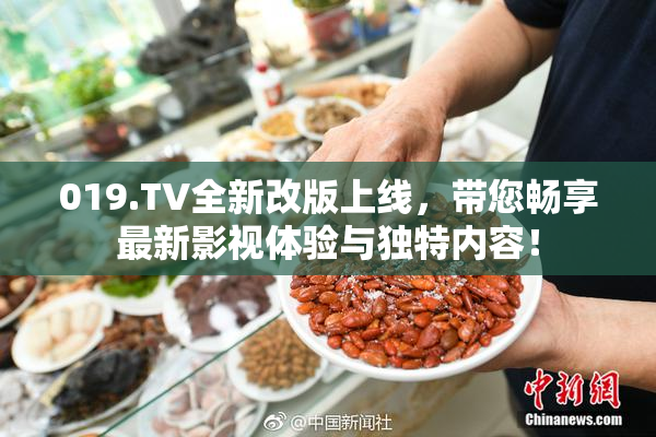 019.TV全新改版上线，带您畅享最新影视体验与独特内容！