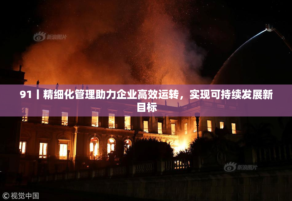 91丨精细化管理助力企业高效运转，实现可持续发展新目标