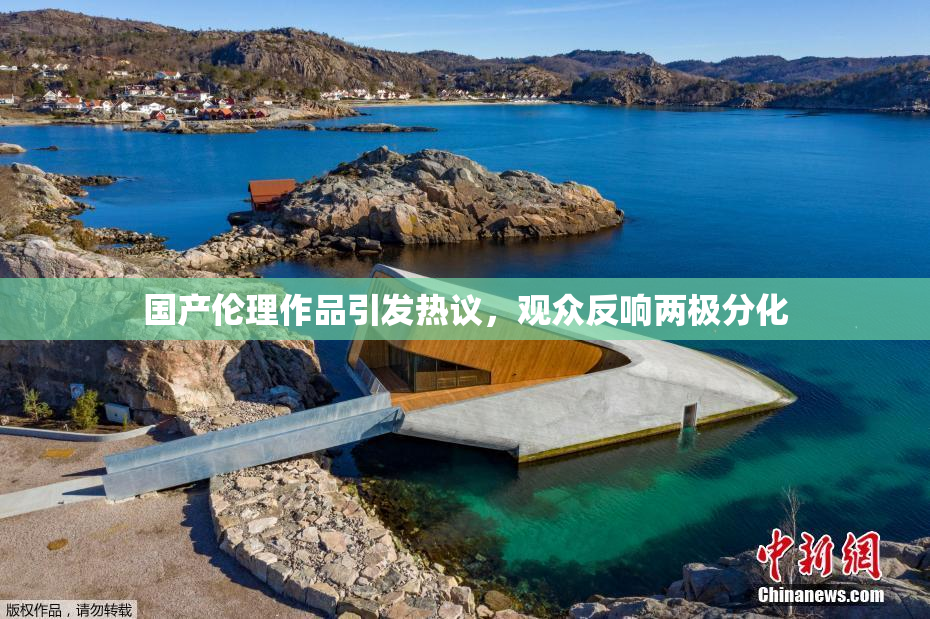 国产伦理作品引发热议，观众反响两极分化