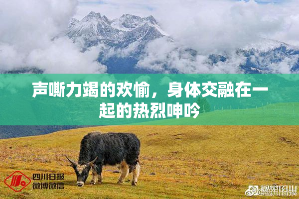 声嘶力竭的欢愉，身体交融在一起的热烈呻吟