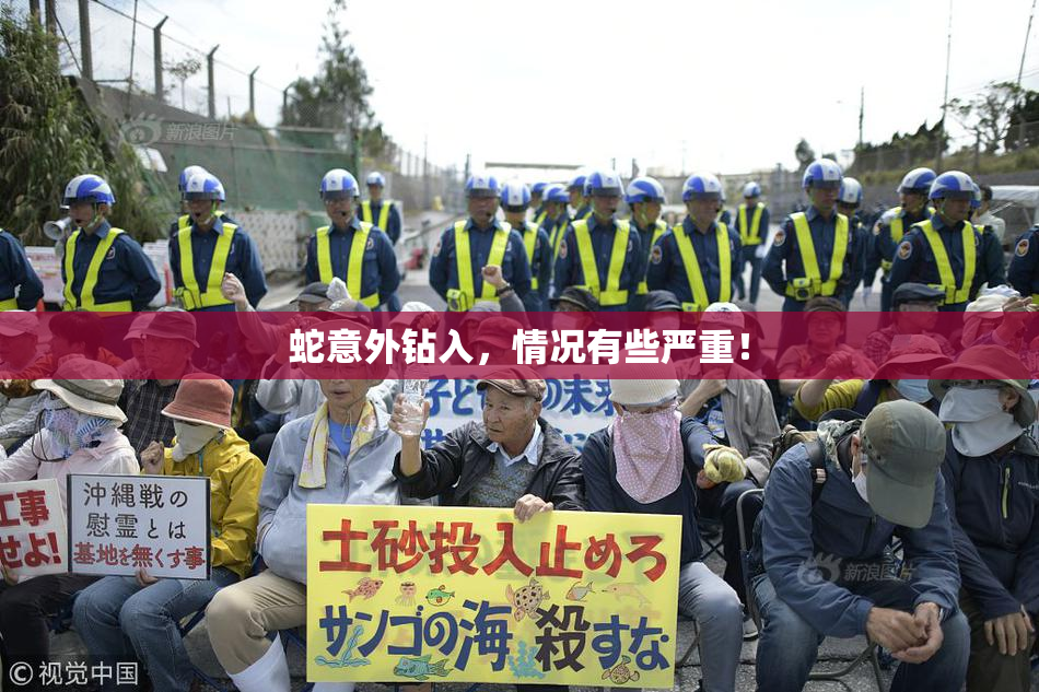 蛇意外钻入，情况有些严重！