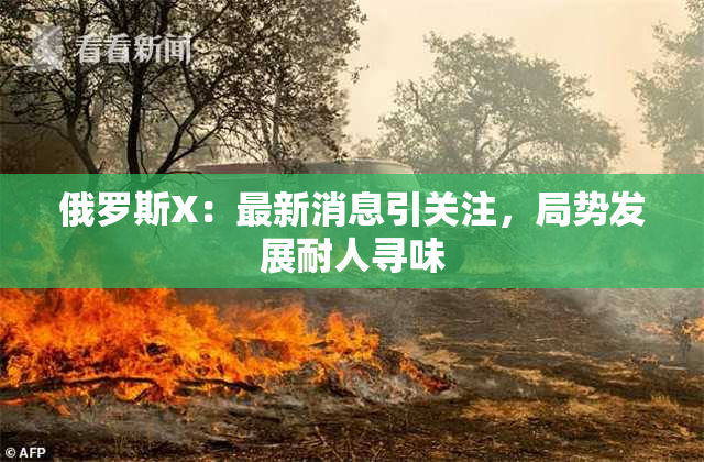 俄罗斯X：最新消息引关注，局势发展耐人寻味