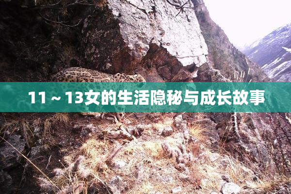 11～13女的生活隐秘与成长故事