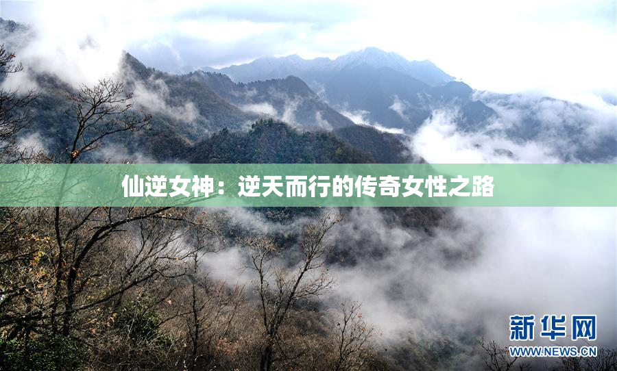 仙逆女神：逆天而行的传奇女性之路