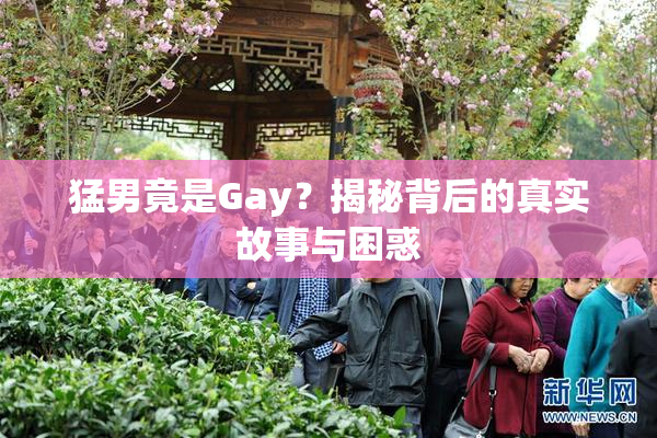 猛男竟是Gay？揭秘背后的真实故事与困惑