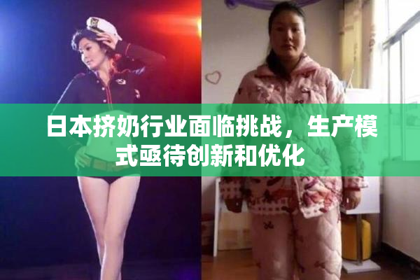 日本挤奶行业面临挑战，生产模式亟待创新和优化