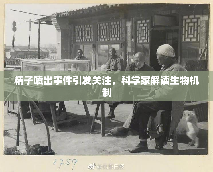精子喷出事件引发关注，科学家解读生物机制