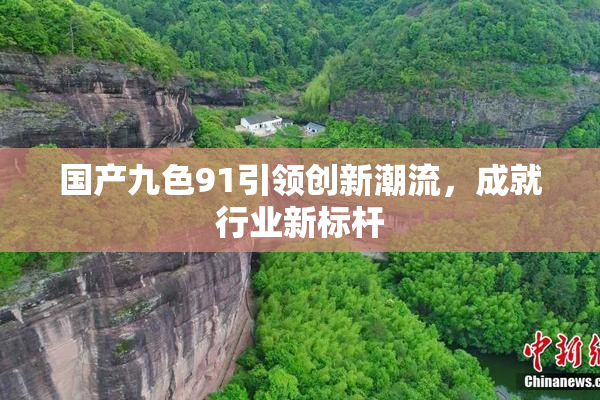 国产九色91引领创新潮流，成就行业新标杆