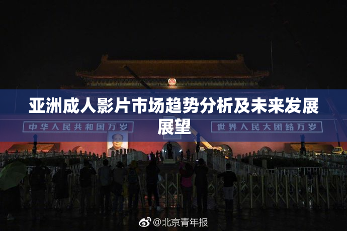 亚洲成人影片市场趋势分析及未来发展展望