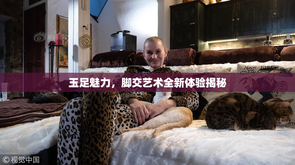 玉足魅力，脚交艺术全新体验揭秘