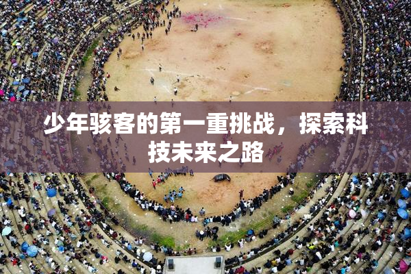 少年骇客的第一重挑战，探索科技未来之路