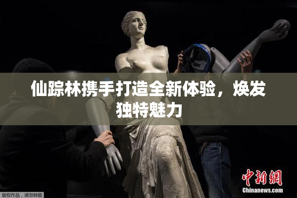 仙踪林携手打造全新体验，焕发独特魅力